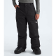 The North Face Boys Freedom Insulated Pant